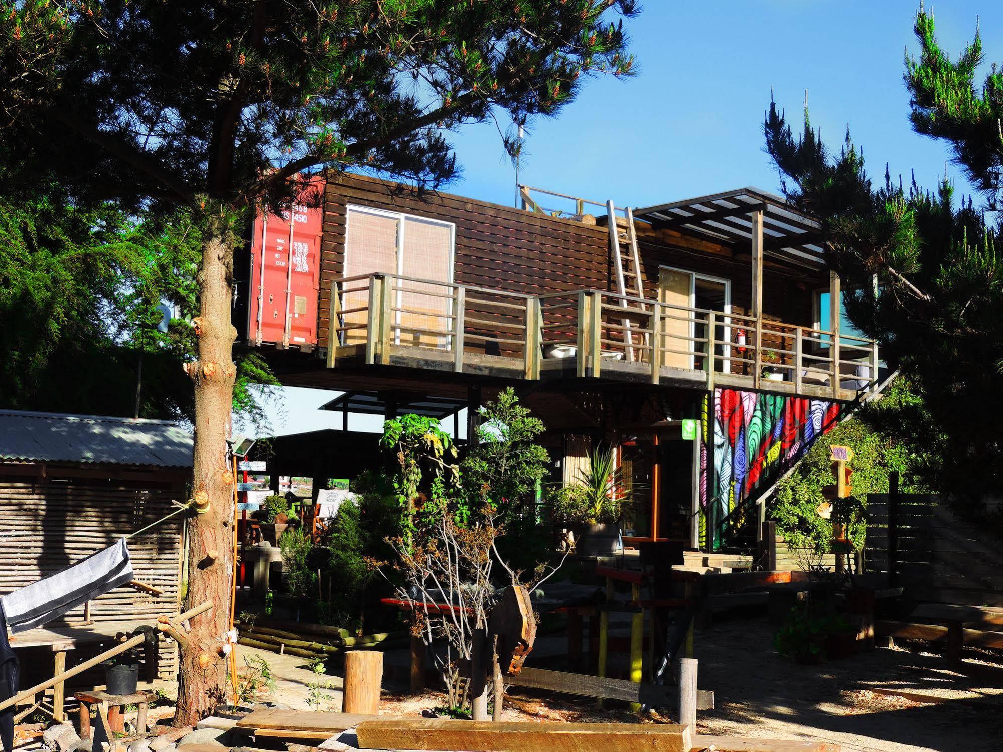 Albergue Sirena Insolente & Pichilemu