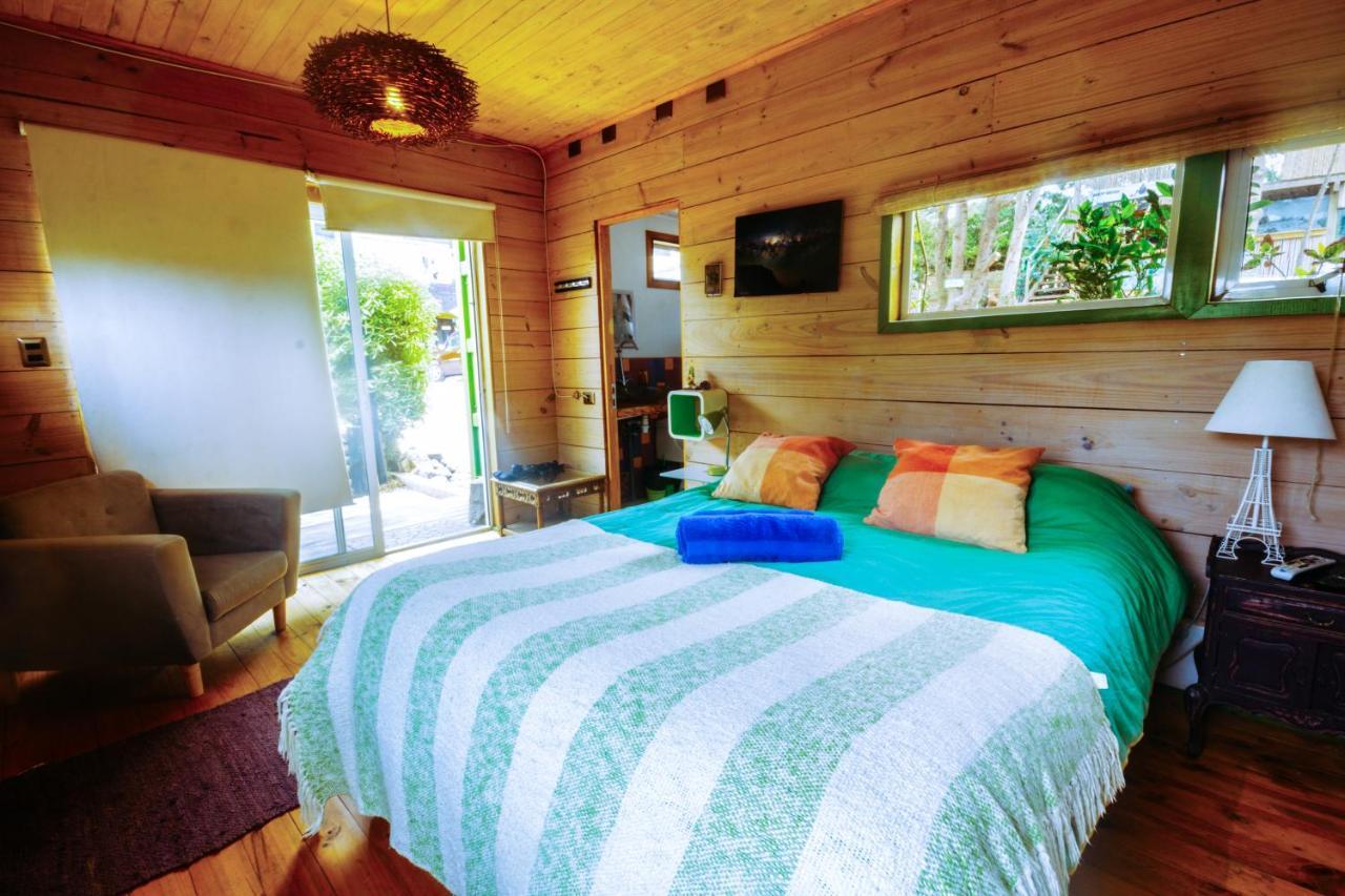 Sirena Insolente & Albergue