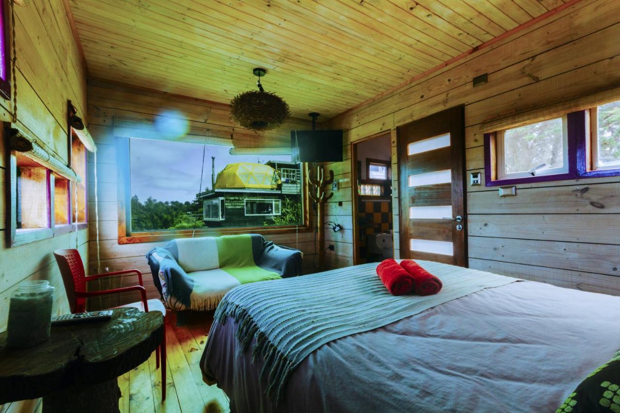 Sirena Insolente & Albergue *