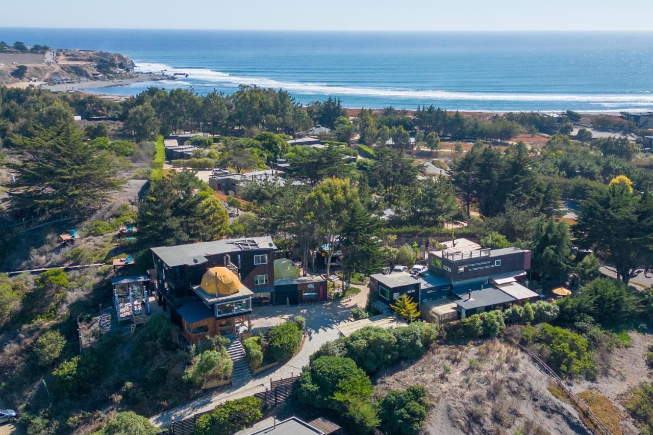 Sirena Insolente & * Pichilemu
