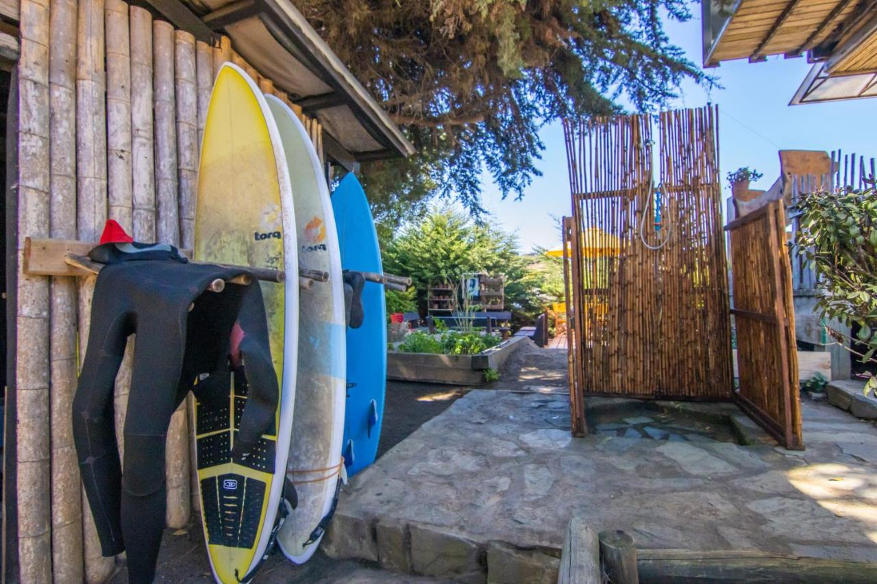 Sirena Insolente & Albergue