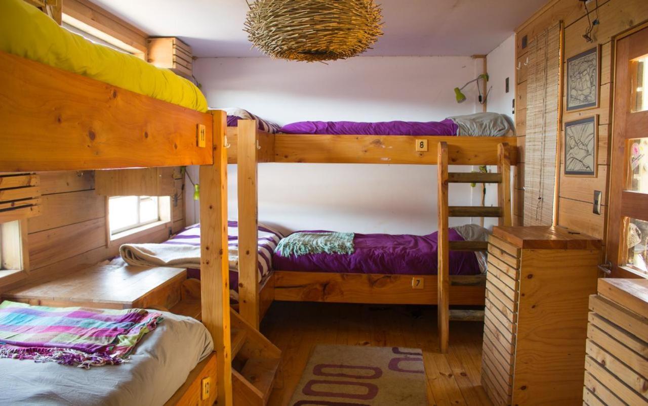 Sirena Insolente & Albergue