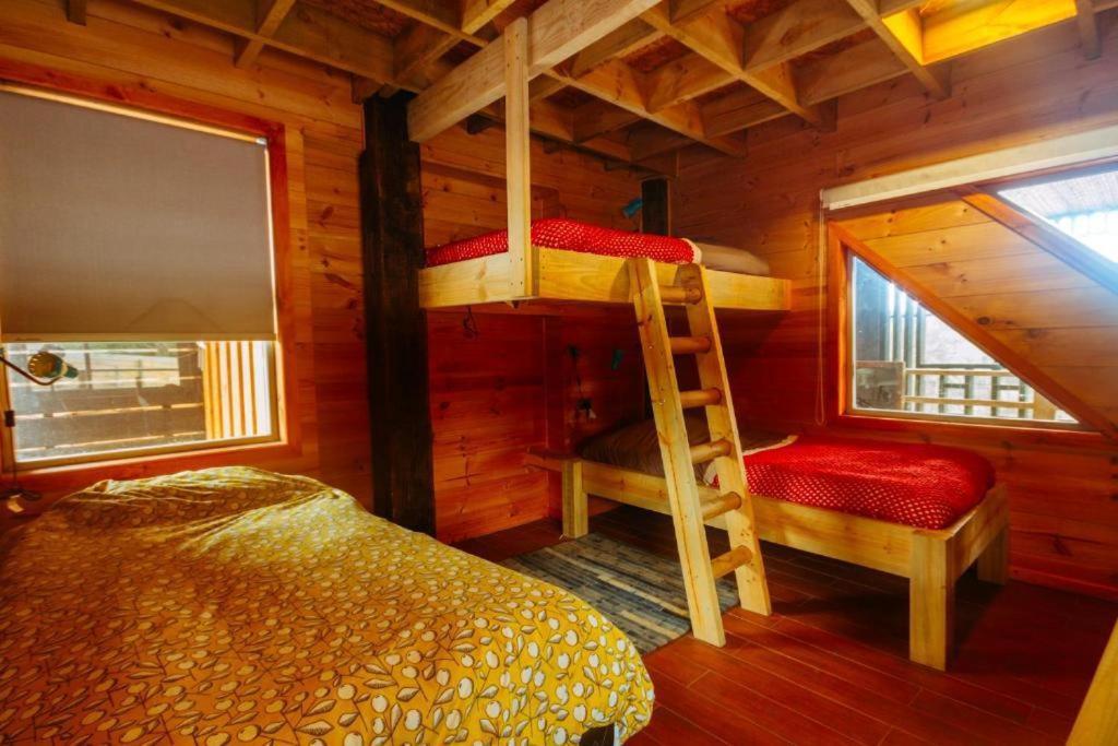 Sirena Insolente & Albergue