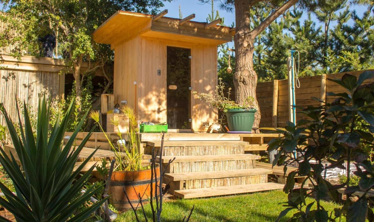 Albergue Sirena Insolente &