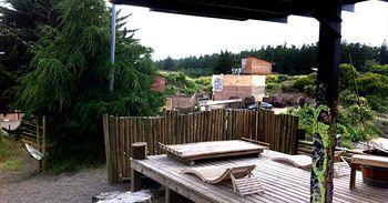 Sirena Insolente & Pichilemu