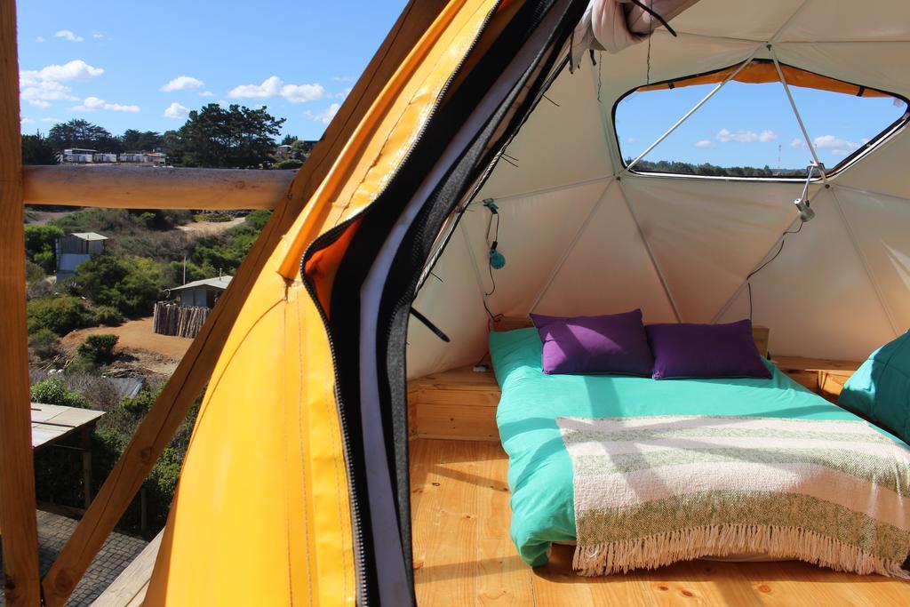 Sirena Insolente & Albergue *