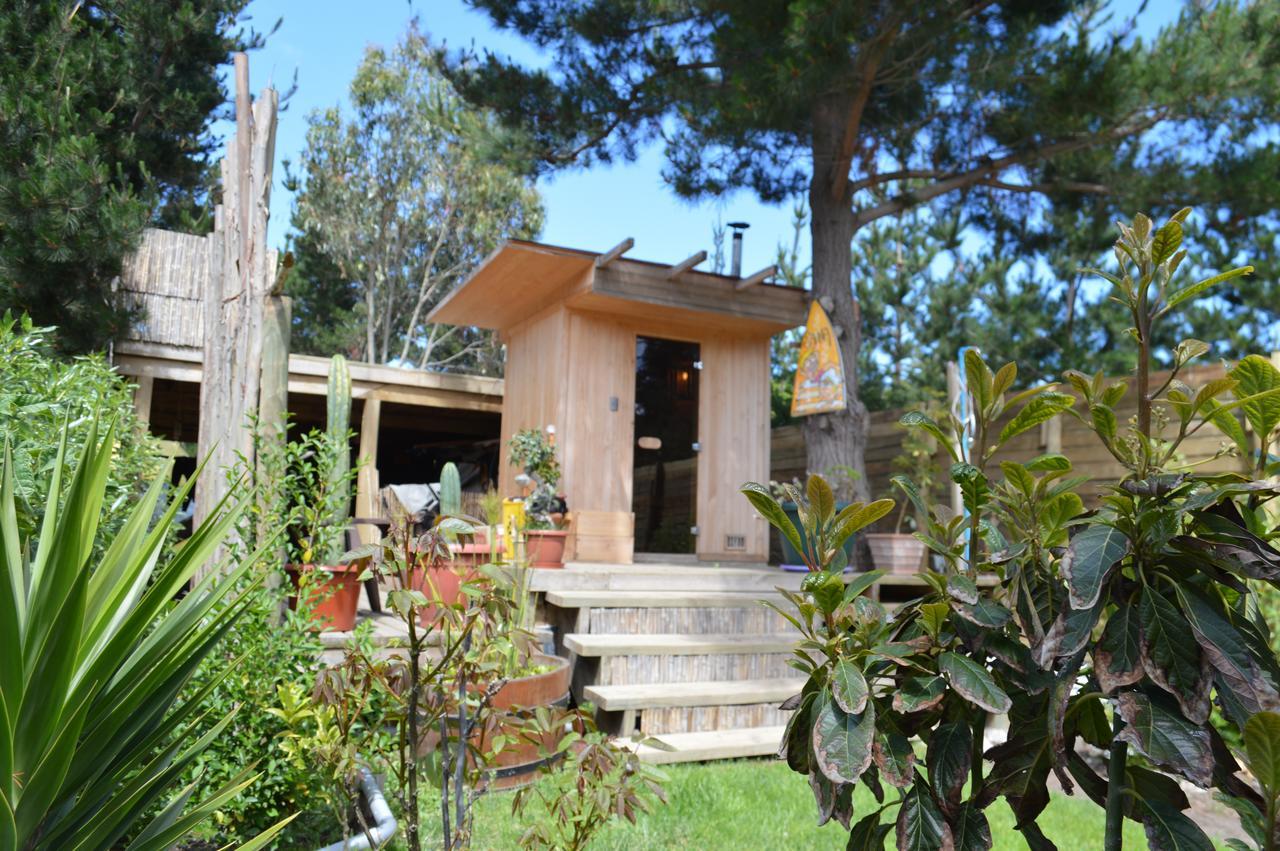 Sirena Insolente & Pichilemu