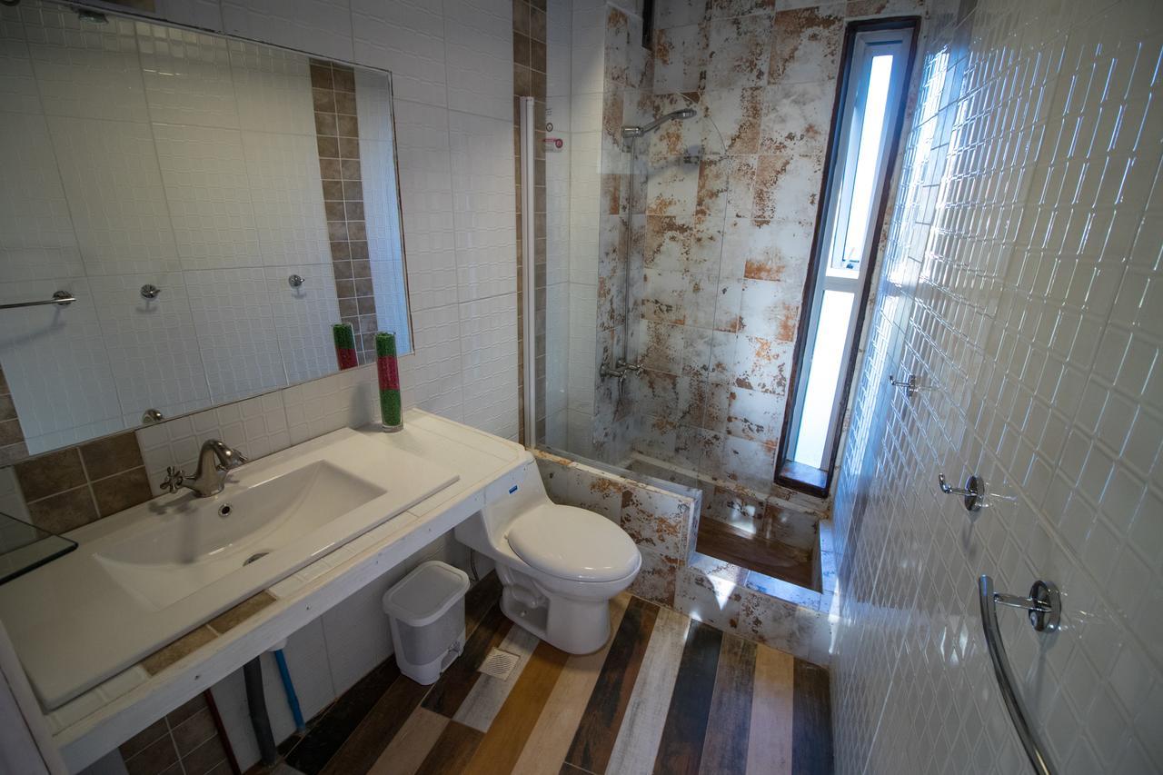 Sirena Insolente & Albergue