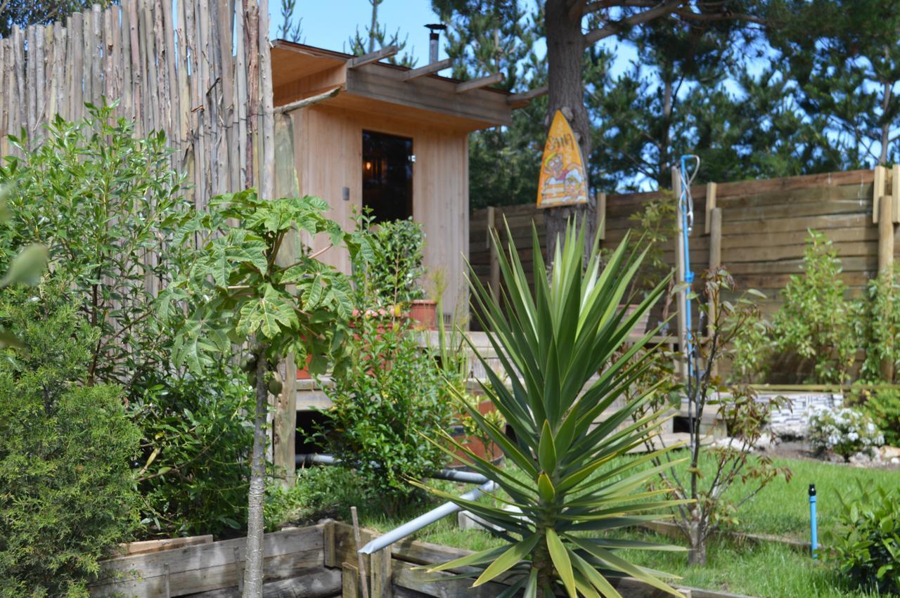 Albergue Sirena Insolente & Pichilemu