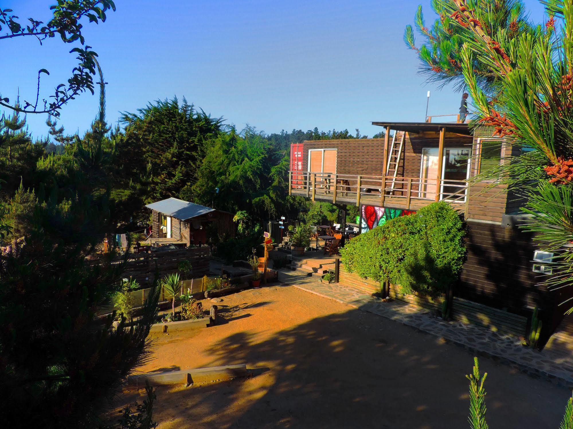 Sirena Insolente & Pichilemu