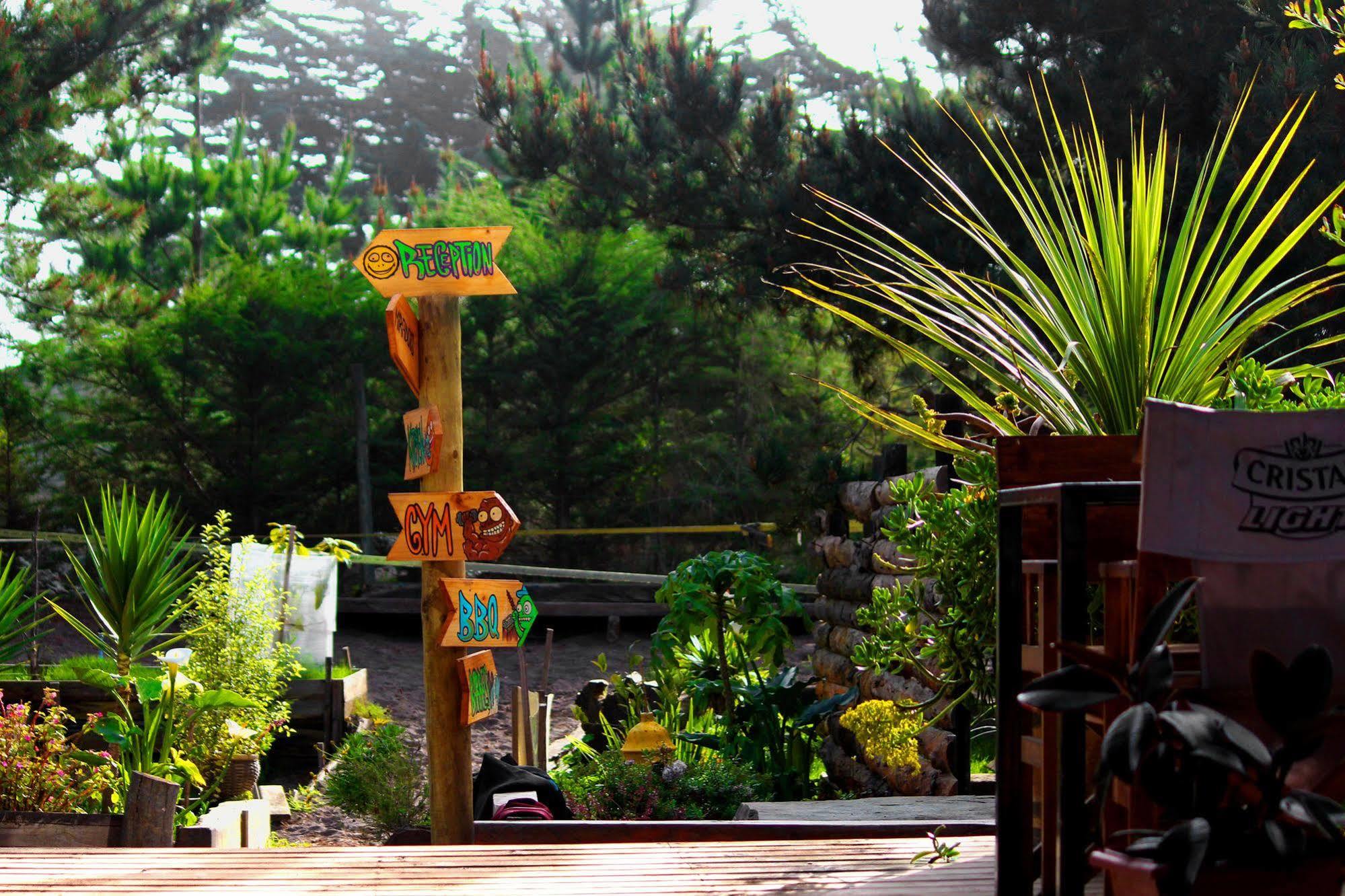 Sirena Insolente & Pichilemu